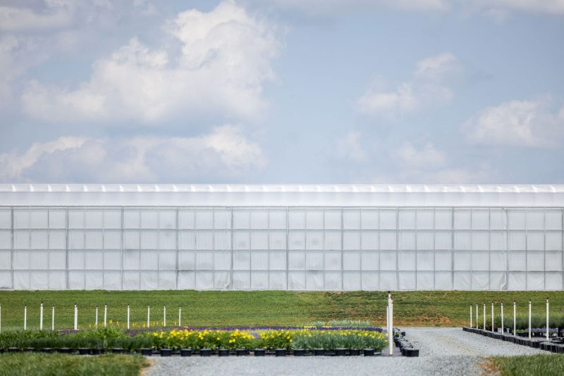 Start a Greenhouse Project with an Operating Brief