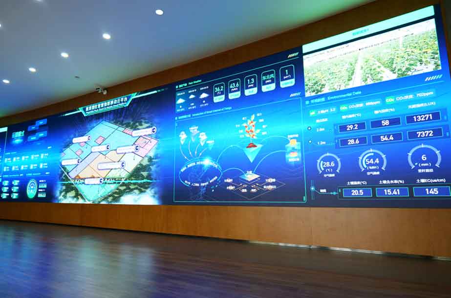 Smart Agriculture & IoT