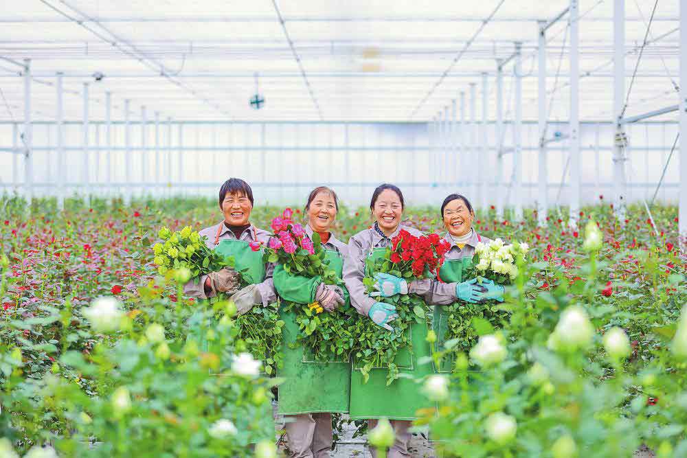 Flower and potted plant projects