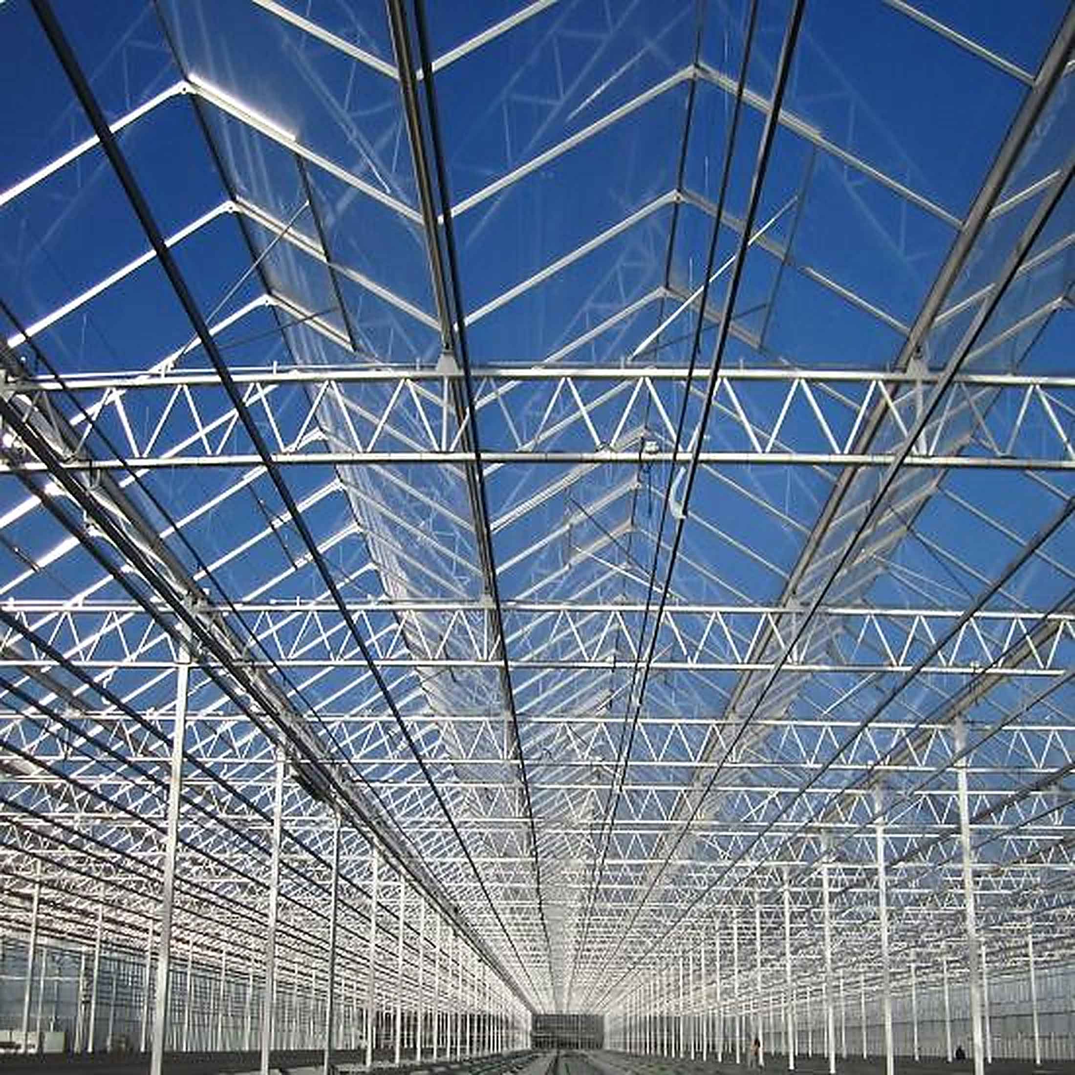 Venlo Greenhouse 6
