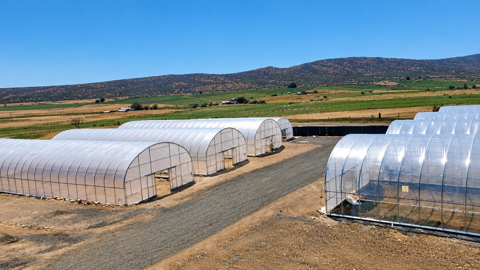 Tunnel Greenhouse — Single-Span Film Greenhouse